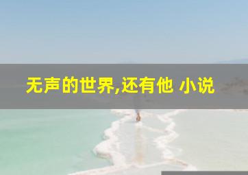 无声的世界,还有他 小说